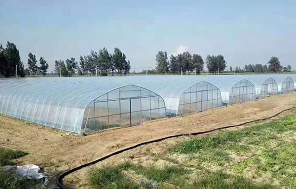 威尼斯9499登录入口(中国)有限公司官网