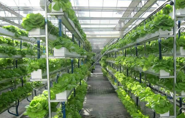 威尼斯9499登录入口(中国)有限公司官网