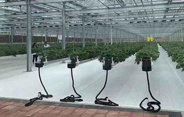 威尼斯9499登录入口(中国)有限公司官网