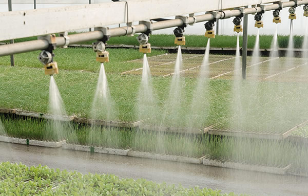 威尼斯9499登录入口(中国)有限公司官网