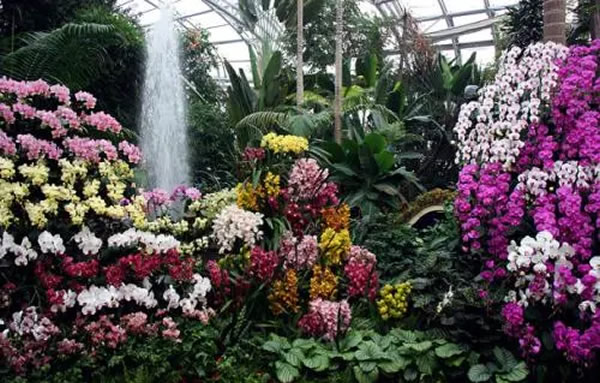 威尼斯9499登录入口(中国)有限公司官网