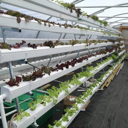 威尼斯9499登录入口(中国)有限公司官网